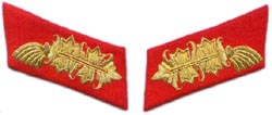 Collar Tabs